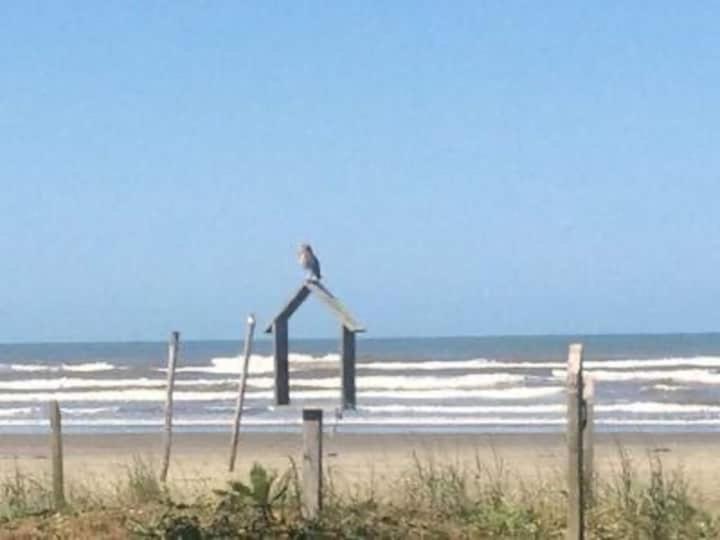 Pe Na Areia Gaivotas Com Wi-Fi Vila Itanhaém Exterior foto